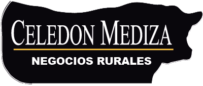 Celedón Mediza